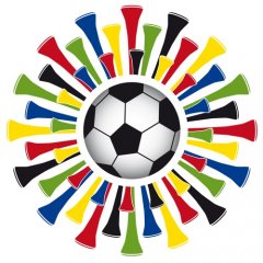 Alternatives Logo der WM 2010